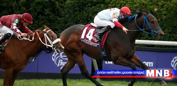 Д.Ганбаатарын "Mongolian saturday" морь "Breeders cup 2015"-д түрүүллээ