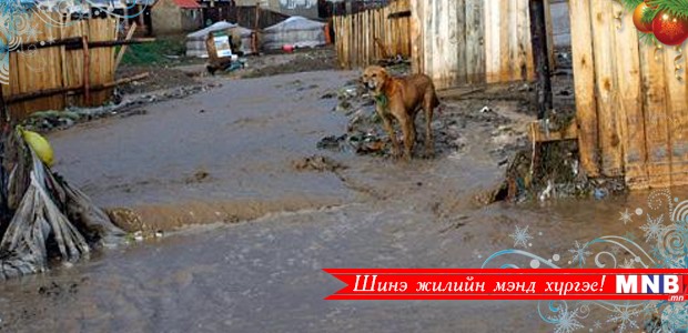 Гамшиг ослын үед эмзэг бүлэгт чиглэсэн бодлого дутагдаж байна