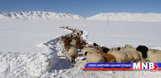 Зарим нутагт өвөлжилт хүндрэх төлөвтэй байна