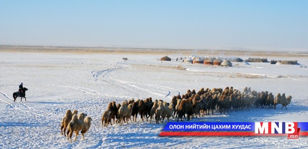 Увс аймгийн нийт нутаг цасан бүрхүүлтэй байна