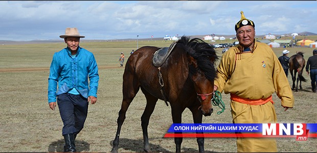 Эрлийз их насны морьдын эрэмбэ гарлаа