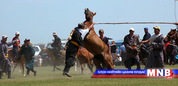 Сайн хүлгийг туурайн чимээгээр таньсан нь