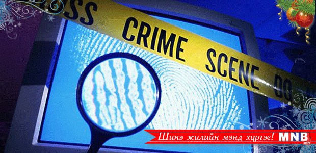 Христийн мэндэлсэн өдөр Турк улсад кибер халдлага болжээ