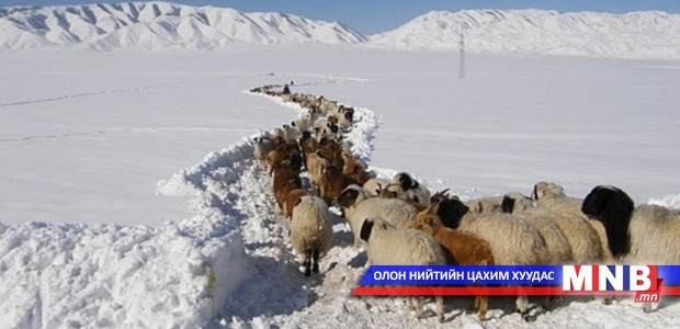 Малчдад туслах аяныг эхлүүллээ
