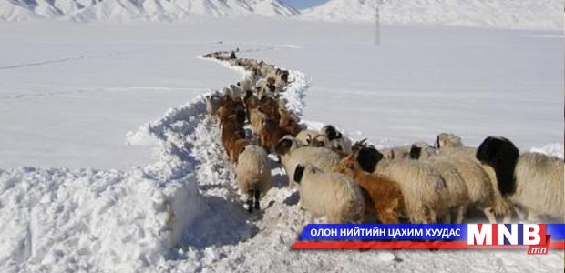 Баян-Өлгийд өвөлжилт хүндрэх төлөвтэй байна
