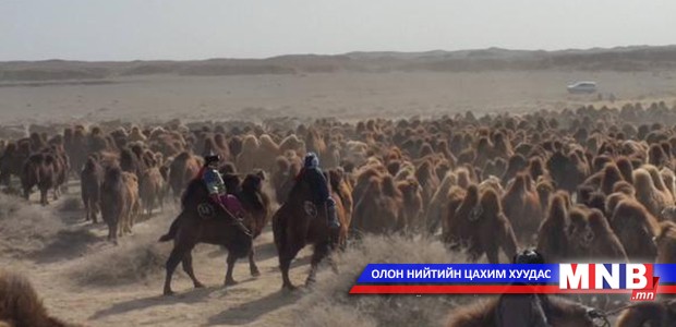 Ингэний хоормогны баяр болно