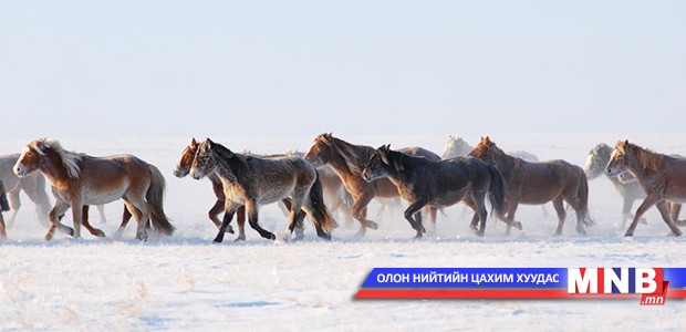 "Талын түмэн адуу"-ны баяр болно