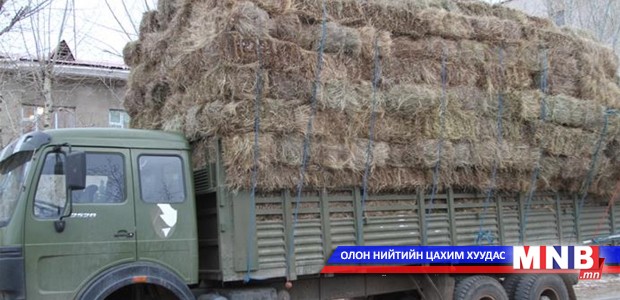 Увс аймаг нөөцийн өвсөө үнэгүй хуваарилна