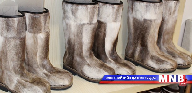 Цаа бугын арьсан гутлыг гэрийн нөхцөлд цэвэрлэх, хадгалах зөвлөгөө