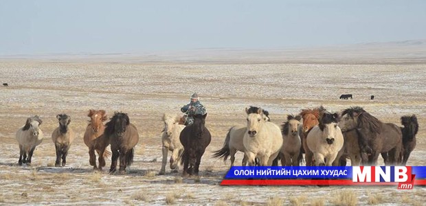 Цаг агаарын хүндрэлтэй нөхцлөөс үүдэн мал хилд тулах нь ихэсчээ