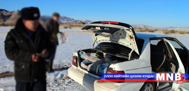 Үхэр хулгайлсан хэрэгтнүүдийг баривчилжээ