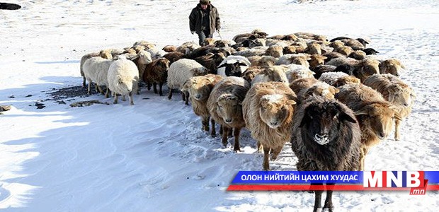 Өмнөговь аймагт хаваржилт хүндхэн эхэлж байна