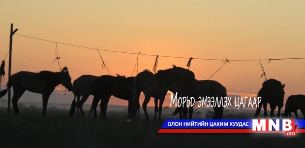 Морьд эмээллэх цагаар