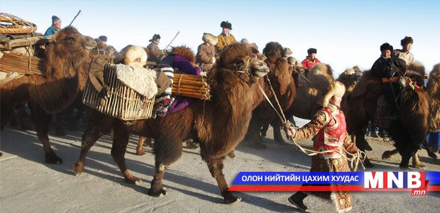 Тэмээний баярыг "Ассошиэйтед Пресс" онцлов