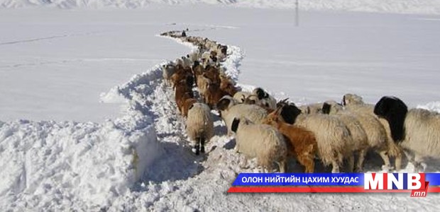 Орхон аймгийн зарим сумд зудын байдалтай байна