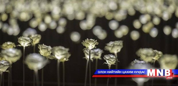 Валентины өдрөөр Хонгконгод 25 мянган сарнай "гэрэлтэв"