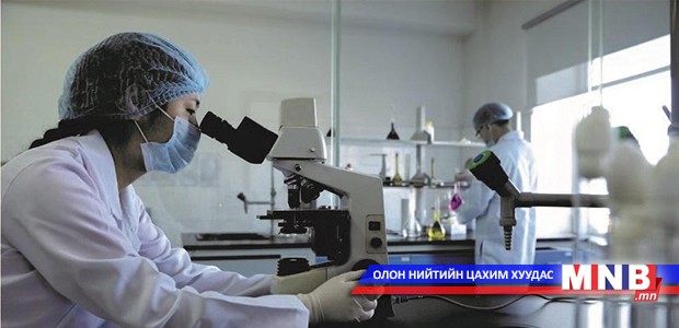 Ингэний сүүг лабораторийн судалгаанд оруулна