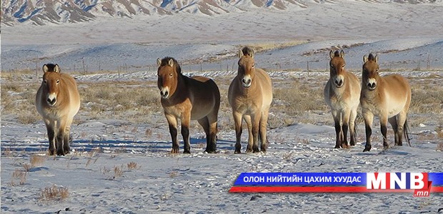 Бүс нутгийн байгалийн нөөцийг тогтооно
