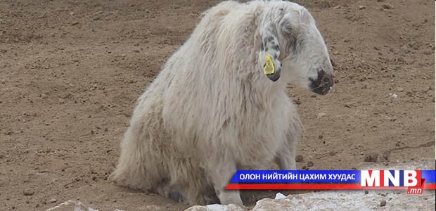 Зуднаас төрсөн бодол
