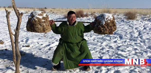Малчин залуугийн хээрийн фитнесс