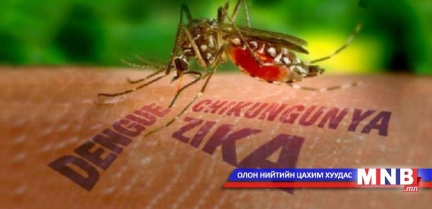 Нидерланд улсад зика вируст халдварын анхны тохиолдол бүртгэгдэв