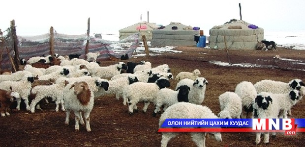 Малчдад 300 сая төгрөгийн тусламж үзүүлнэ