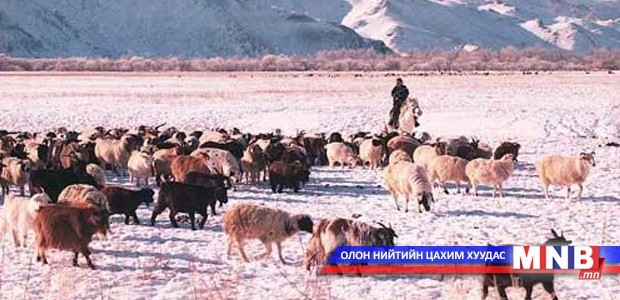 “Сайн малчин” хөтөлбөрийг батлав