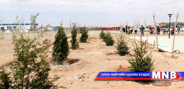 Өмнөговь аймагт 364 мод тарьжээ