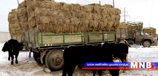 Малчдад олгосон өвс, тэжээлийн үнийн зөрүү 2 тэрбум төгрөг болжээ