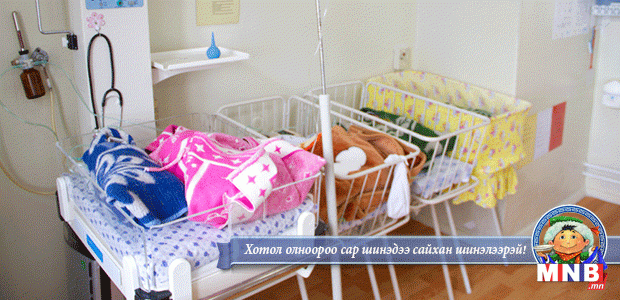 Эх нялхаст гурван ихэр мэндэлжээ