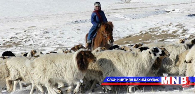 332 сая төгрөгийн тусламжийг малчдад хүргэжээ