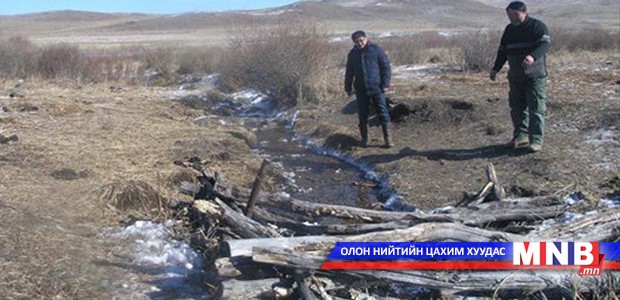 Угтам ууланд амьтдад зориулан өвс, шүү тавьжээ