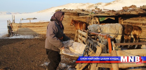 Малчид өтөг бууц, ой модны хаягдал ашиглан орлоготой болох боломжтой