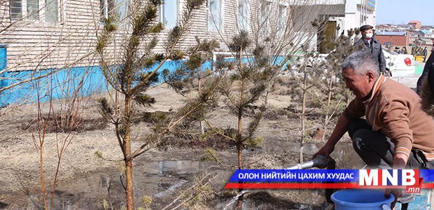 "Хаврын цэнэг" усалгаа эхэллээ