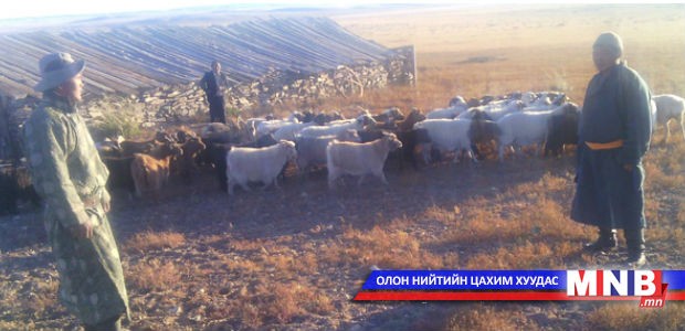 Өмнөговь аймгийн Хөдөлмөрийн хэлтэс аймгийнхаа 60 өрхийг малжуулна