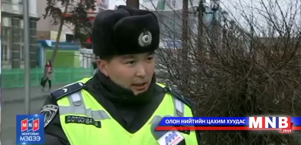 Нийслэлийн хэмжээнд гэмт хэрэг зөрчлөөс урьдчилан сэргийлэх чиглэлээр нохойт эргүүл ажиллаж байна