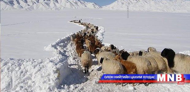 Сэтгүүлчид зудтай сумын малчдад тусламжийн гараа сунгалаа