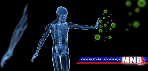 Дархлал сайжруулах замаар хорт хавдрыг анагаахыг зорьж байна