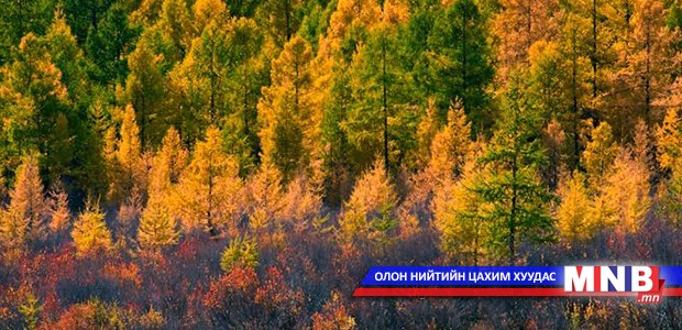 Монголын ойн бүрхэвчийн өөрчлөлтийг хиймэл дагуулын мэдээгээр тооцоолно
