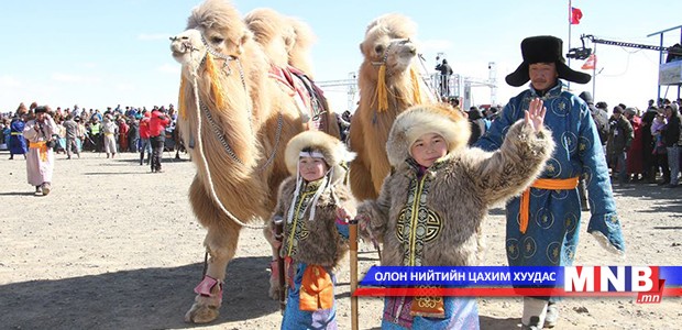 "Монгол тэмээ 999"-ийн сайхан тэмээтэй хосууд шалгарлаа /фото/