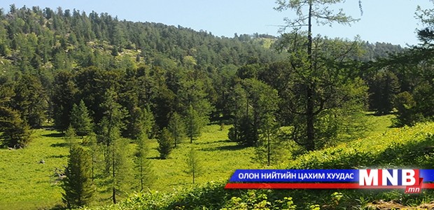 Ойн хаягдлыг үйлдвэрлэлд ашиглах 20-30 жилийн нөөцтэй
