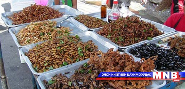 Камбожид "шавжны" ресторан нээгджээ