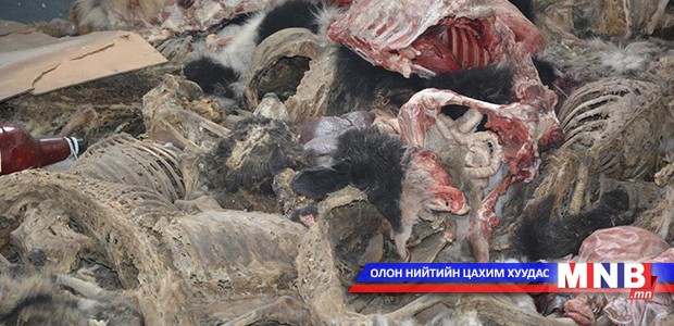 Машиндсан маханд нохойн мах хольсон байж магадгүй хэргийг шалгаж байна