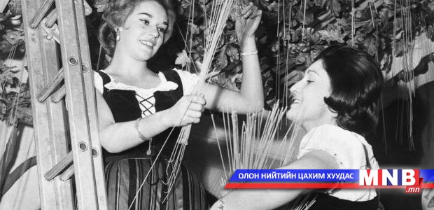 Модноос шпагетти гоймонгийн ургацаа хурааж байна