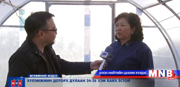 П.Цолмон: Хүлэмжийн дулаан 24-26 хэм байх ёстой