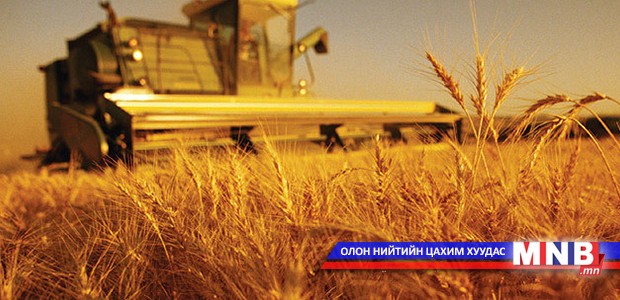 Импортын үрийн буудай нийлүүлэгдэж эхэллээ