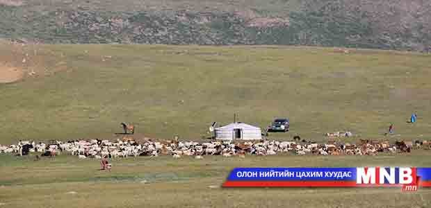 Малчид бэлчээрээ доройтуулвал хариуцлага хүлээнэ