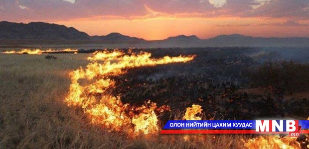 Он гарсаар 11 удаа ой, хээрийн түймэр гарчээ
