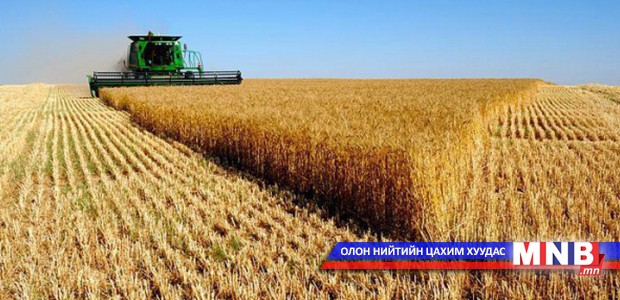 Гурилын үйлдвэрүүд улаанбуудайн хэдэн сарын нөөцтэй вэ
