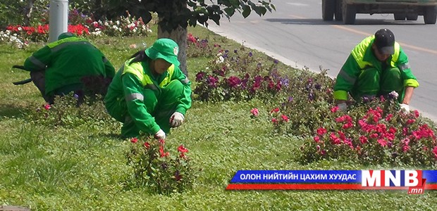 Ногоон байгууламжийн арчилгаа эхэлжээ